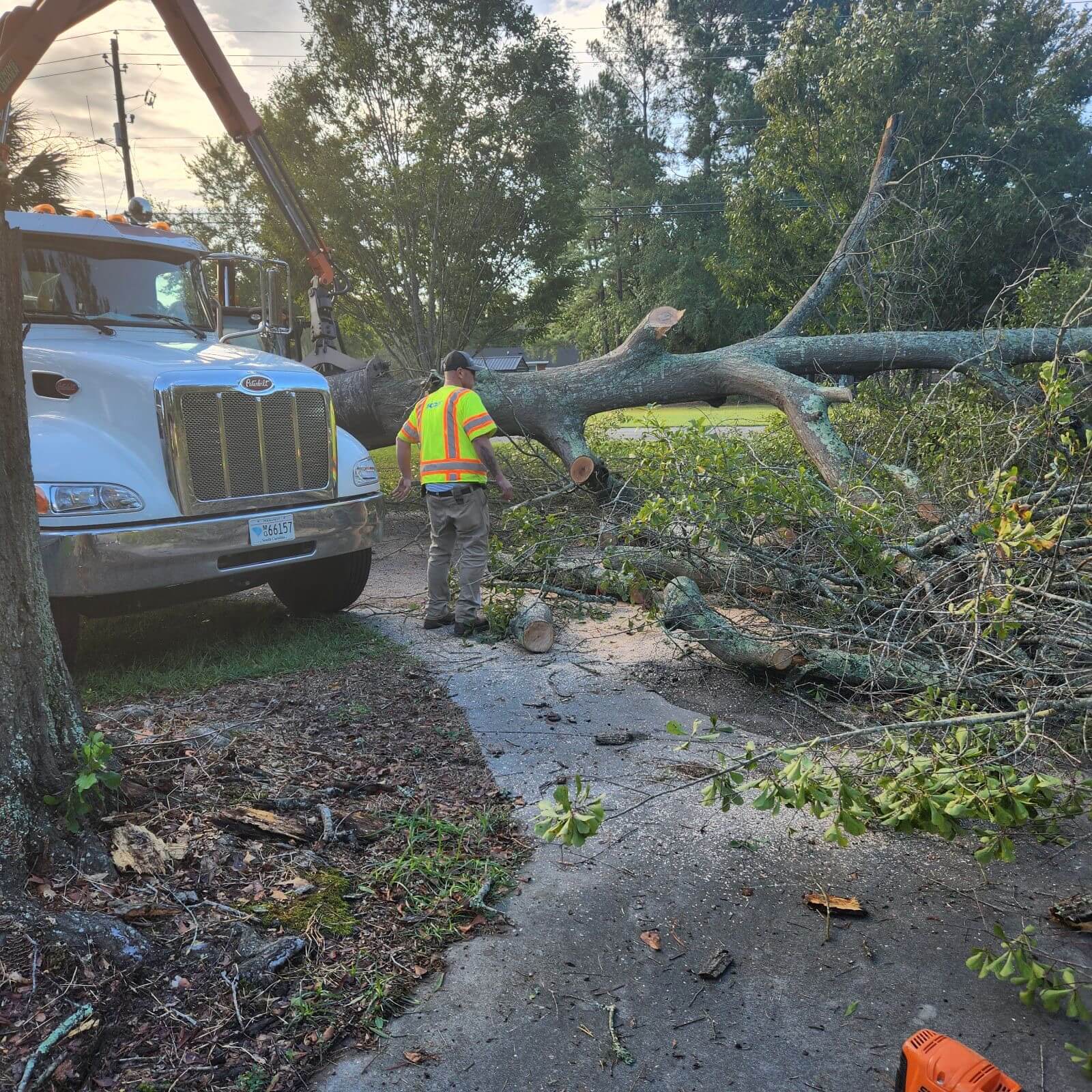 Cleaning Up after Idalia - 4